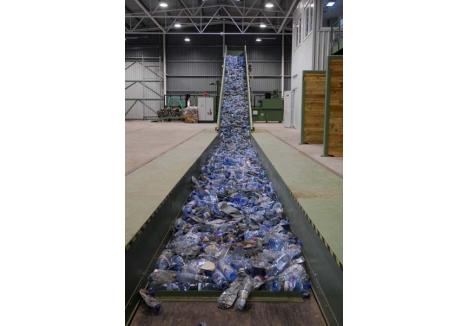 RECICLARE CU CONFORMITATE. Deşeurile reciclabile pot fi revalorificate doar dacă n-au fost "contaminate" cu deşeurile menajere. Simpla lor colectare nu e suficientă...